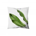 Nature Cushion