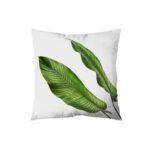 Nature Cushion