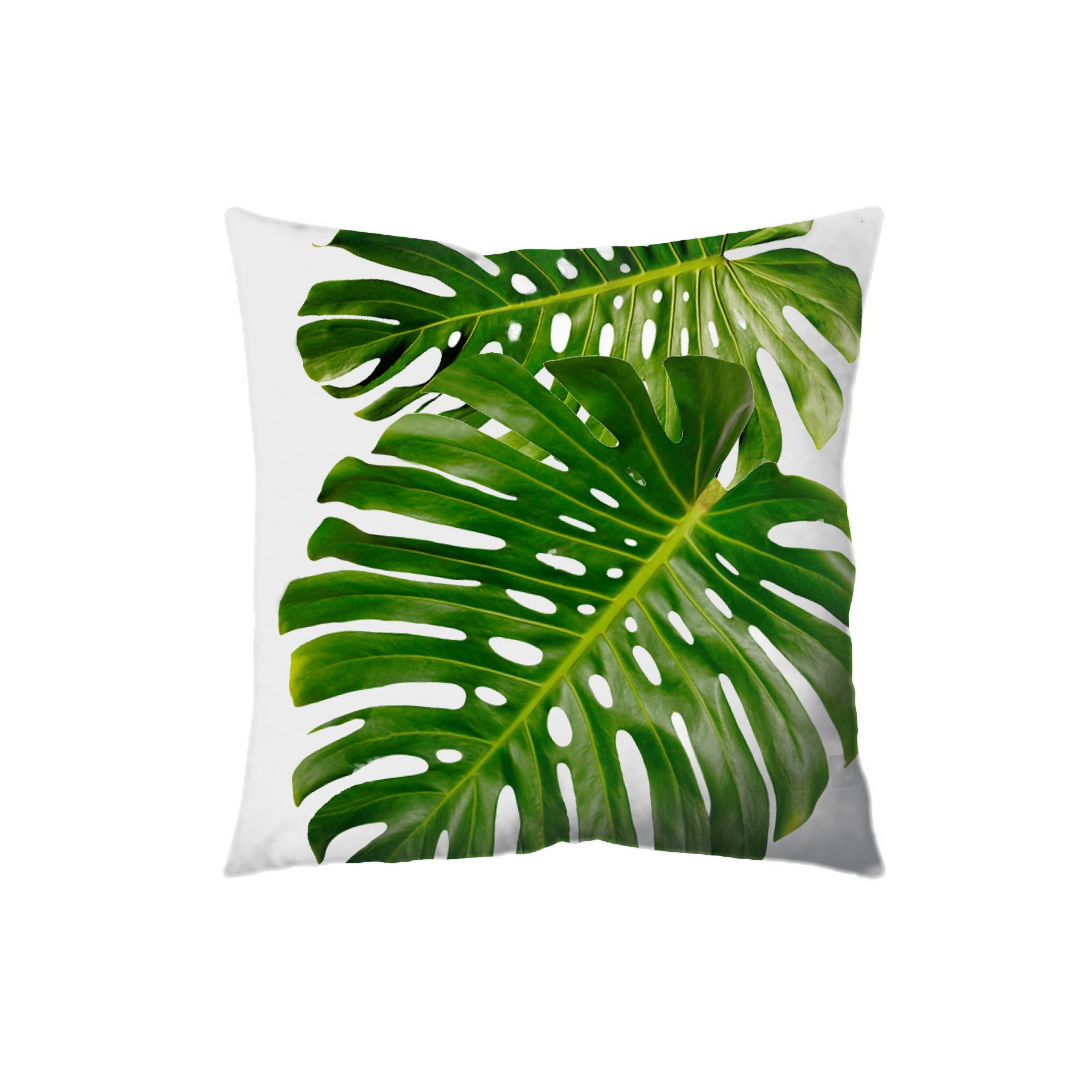 NAT117 Nature Cushion - Image 1